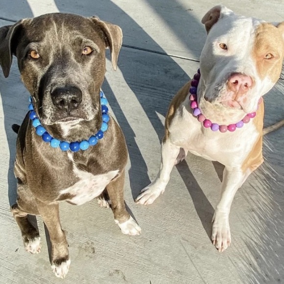 Blue Ombré Wooden Bead Dog Collar - Picture 7 of 9